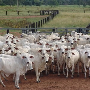 WDJ Hi-Tech Inc. - 株式会社WDJハイテク