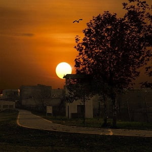 WDJ Hi-Tech Inc. - 株式会社WDJハイテク