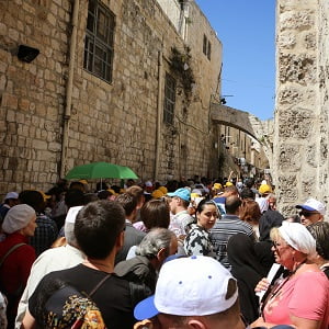 WDJ Hi-Tech Inc. - 株式会社WDJハイテク