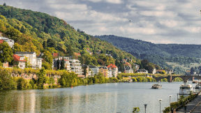 WDJ Hi-Tech Inc. - 株式会社WDJハイテク