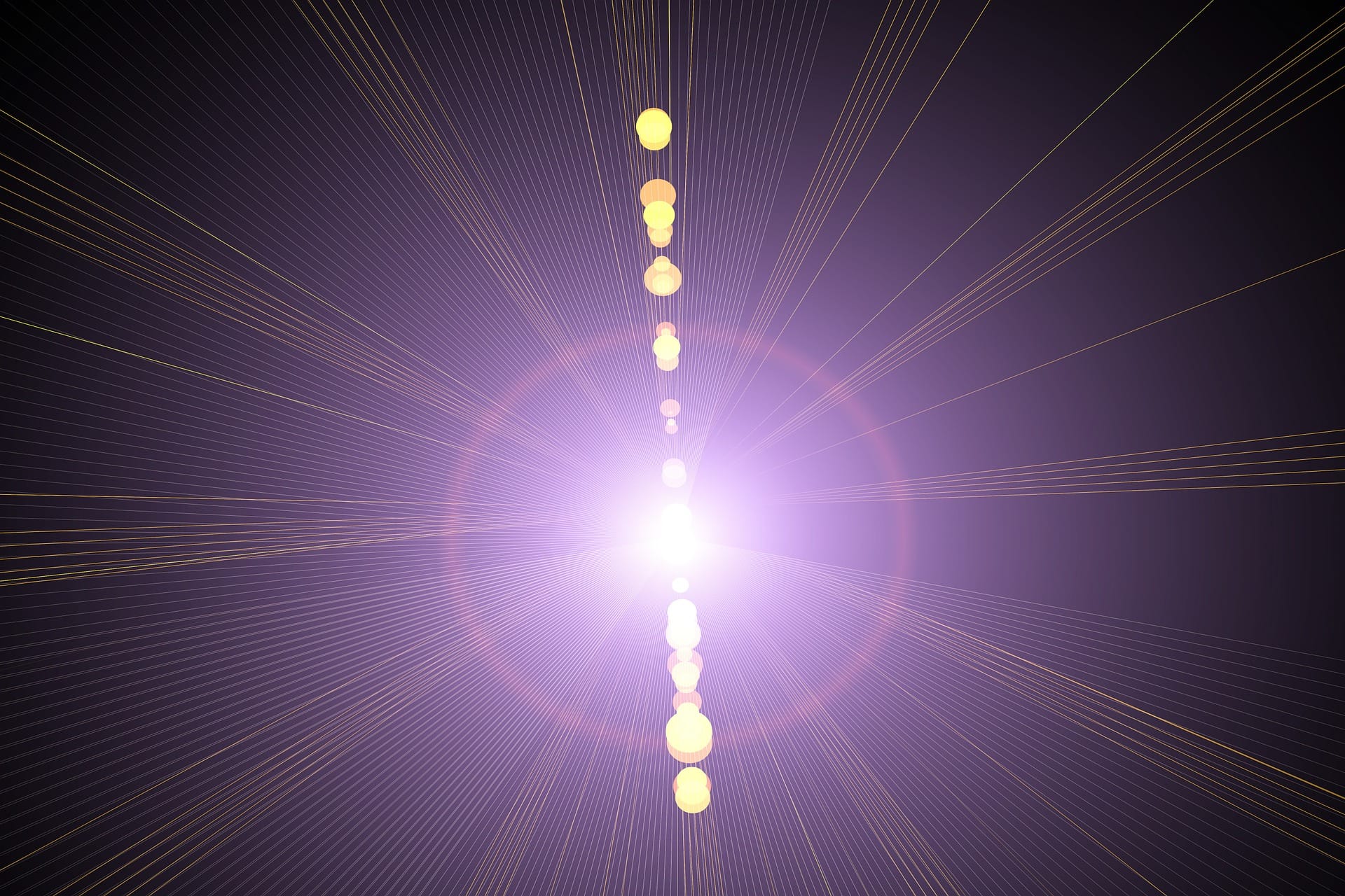 WDJ Hi-Tech Inc. - 株式会社WDJハイテク