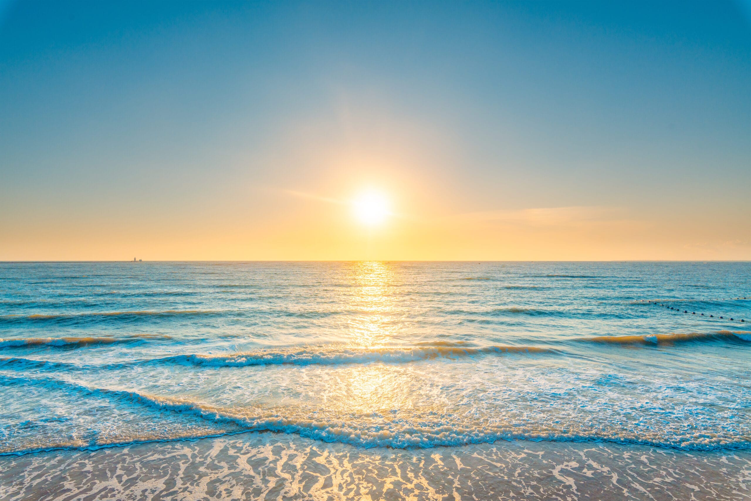 WDJ Hi-Tech Inc. - 株式会社WDJハイテク