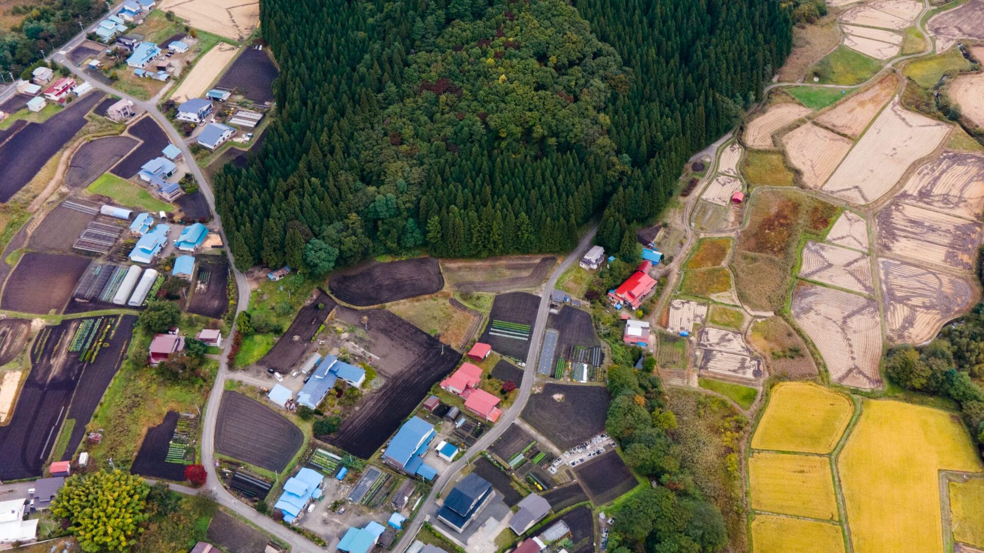 WDJ Hi-Tech Inc. - 株式会社WDJハイテク