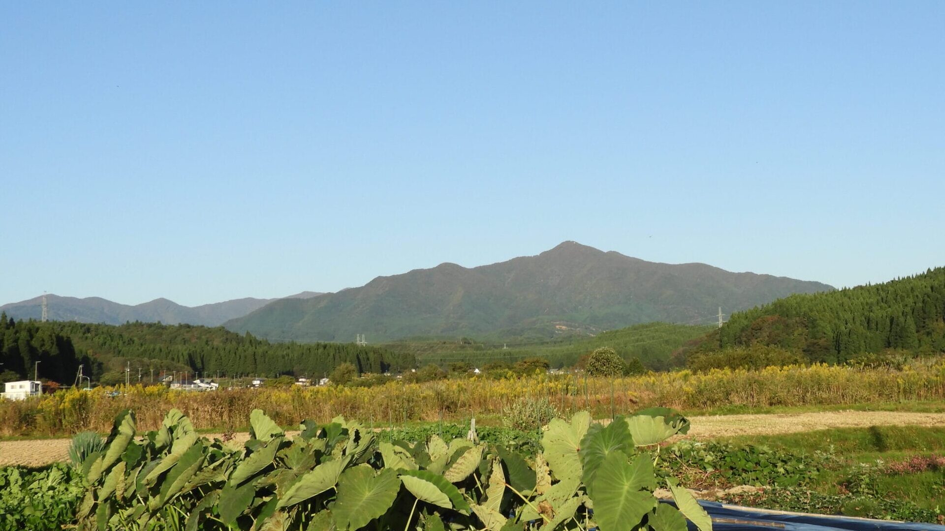 WDJ Hi-Tech Inc. - 株式会社WDJハイテク