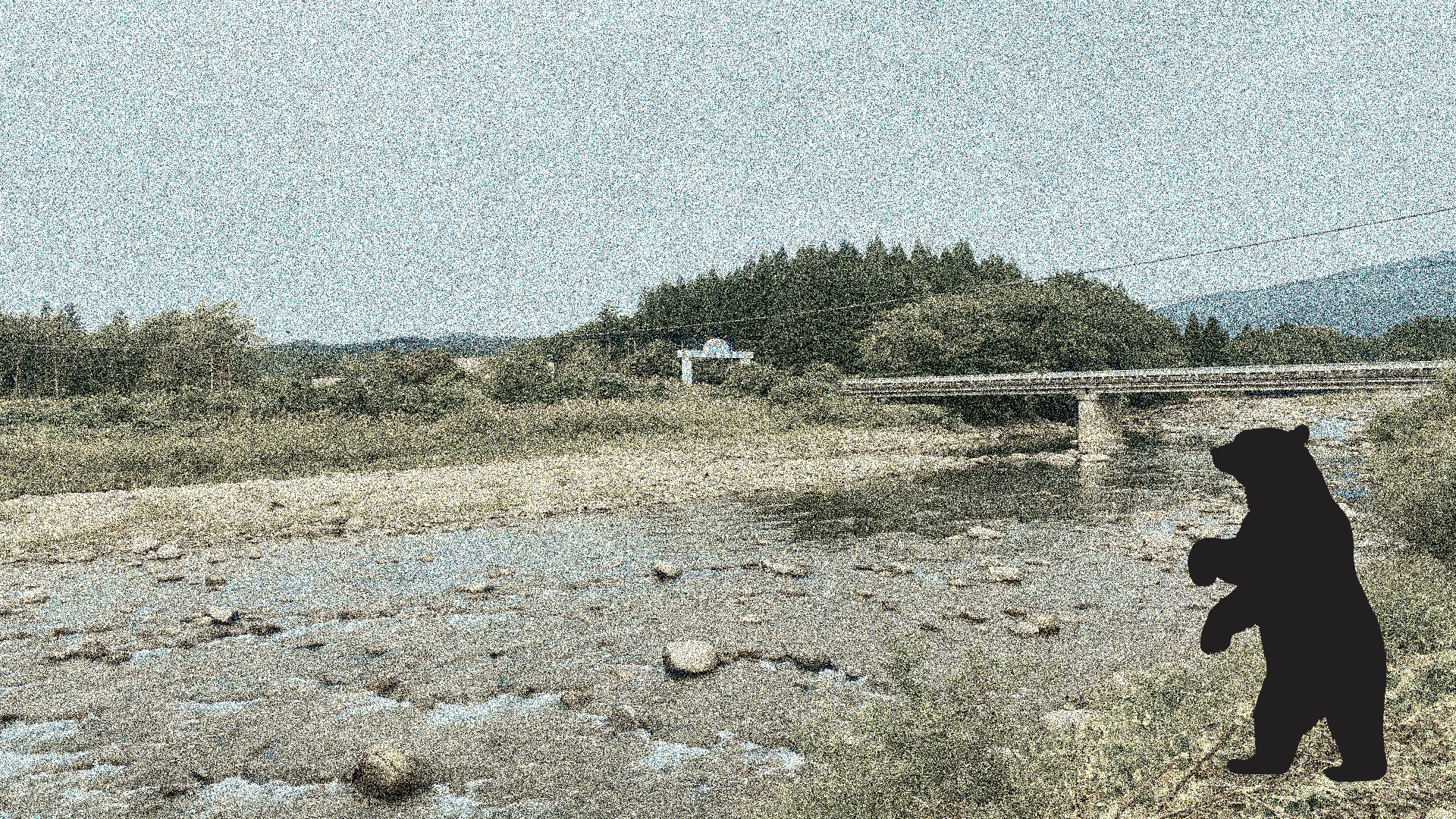 河川出現