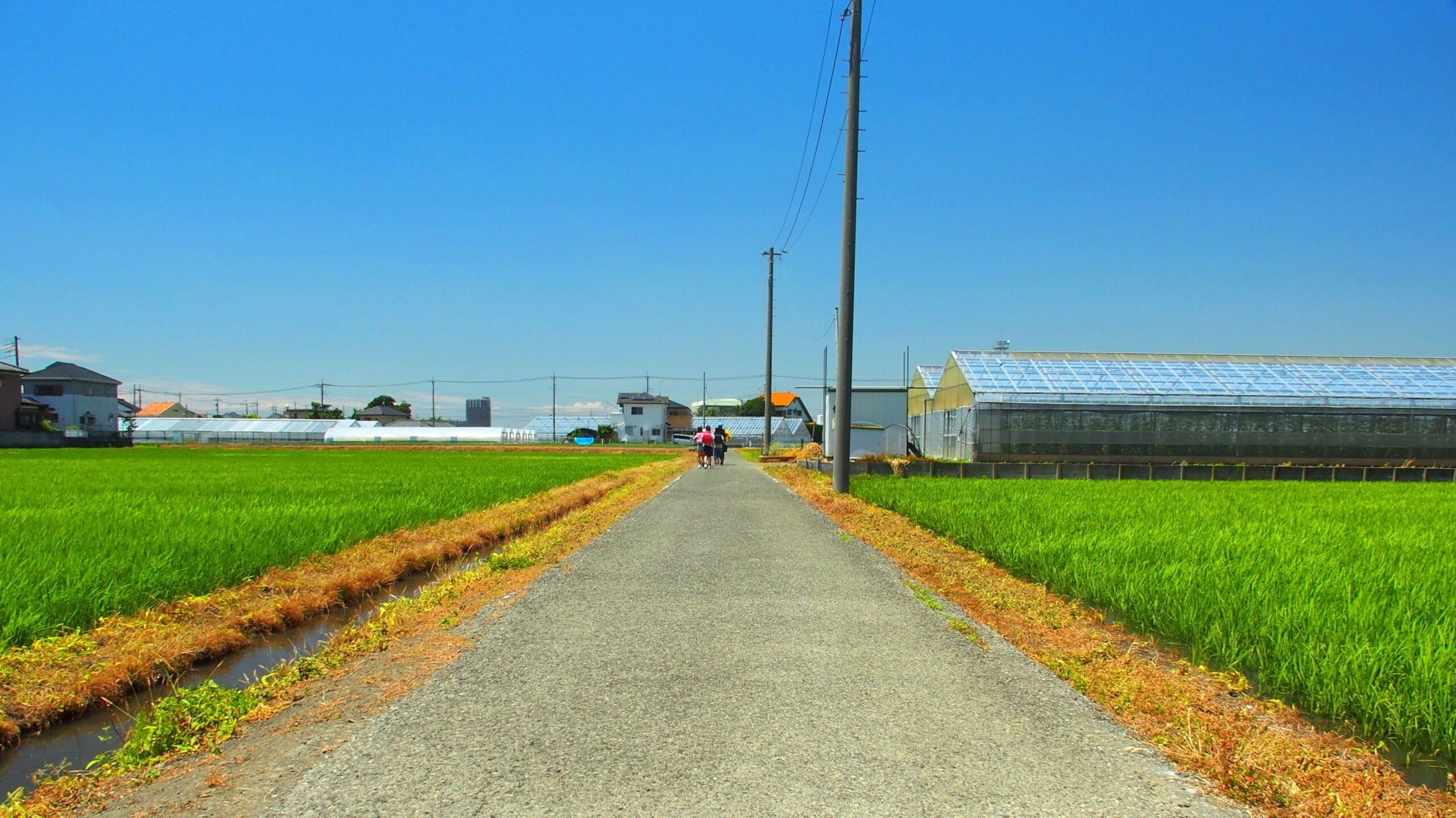 通学路